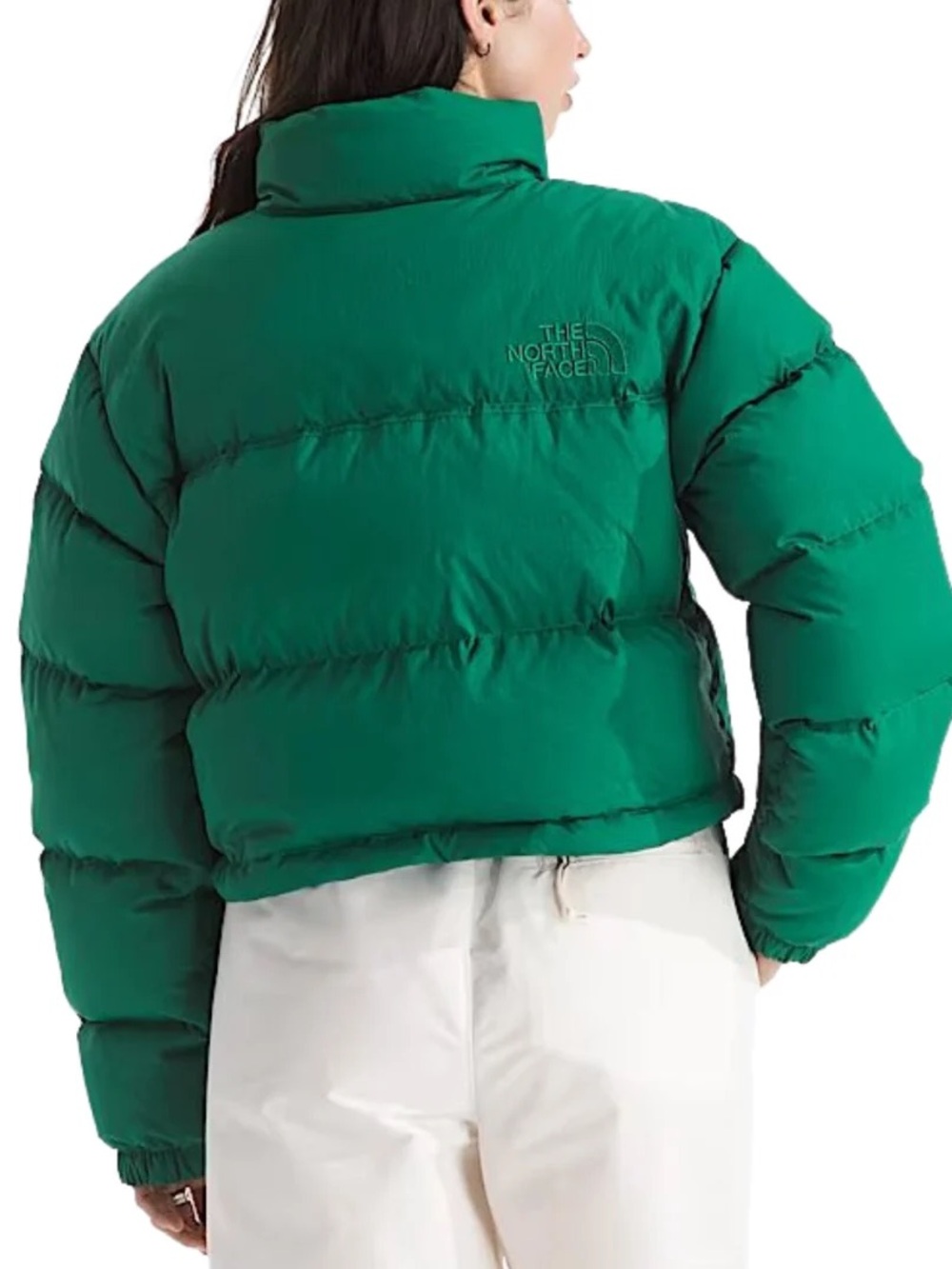 NWT The North Face Evergreen Nuptse Short DTM Jacket- Women's Size Large - Picture 2 of 11